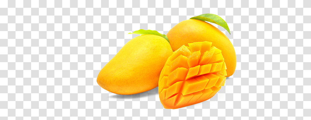 Mango Photo Arts, Plant, Fruit, Food Transparent Png