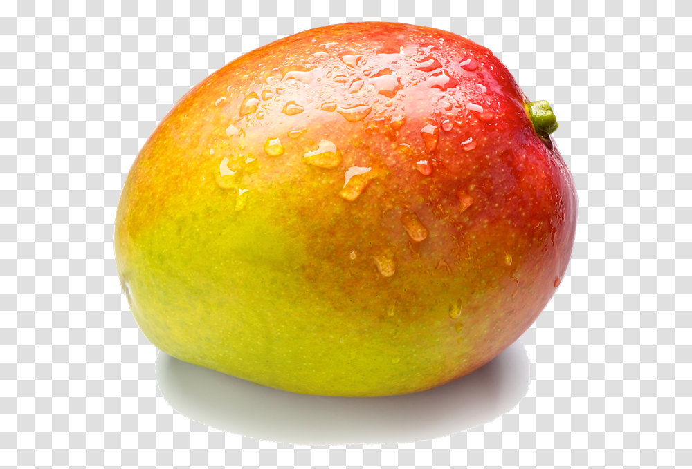 Mango Pic Mango, Plant, Fruit, Food, Egg Transparent Png