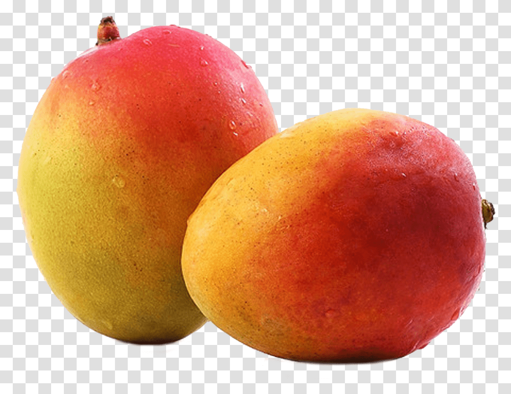 Mango, Plant, Food, Fruit, Produce Transparent Png