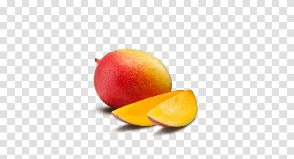 Mango, Plant, Fruit, Food, Orange Transparent Png