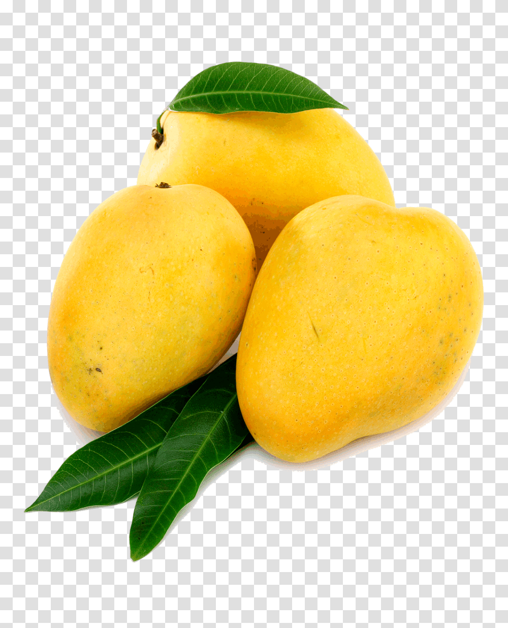 Mango, Plant, Fruit, Food, Orange Transparent Png