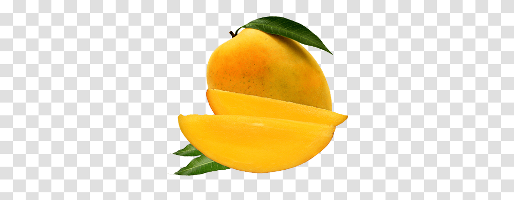 Mango, Plant, Fruit, Food, Produce Transparent Png