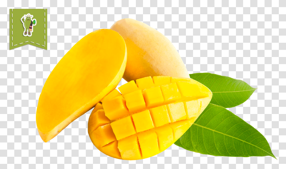 Mango, Plant, Fruit, Food Transparent Png