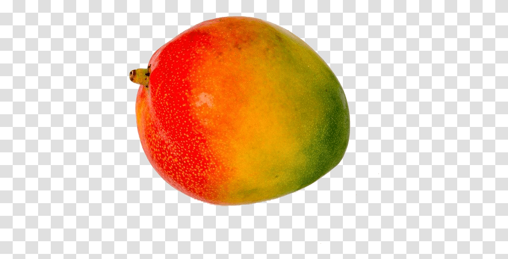Mango, Plant, Fruit, Food Transparent Png
