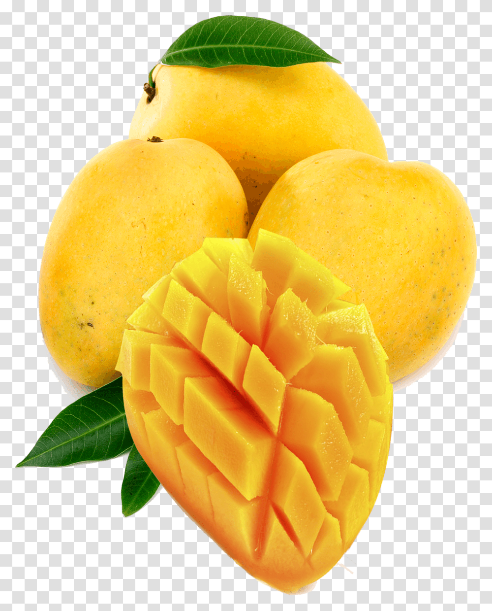 Mango, Plant, Fruit, Food Transparent Png