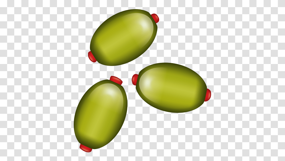 Mango, Plant, Produce, Food, Seed Transparent Png