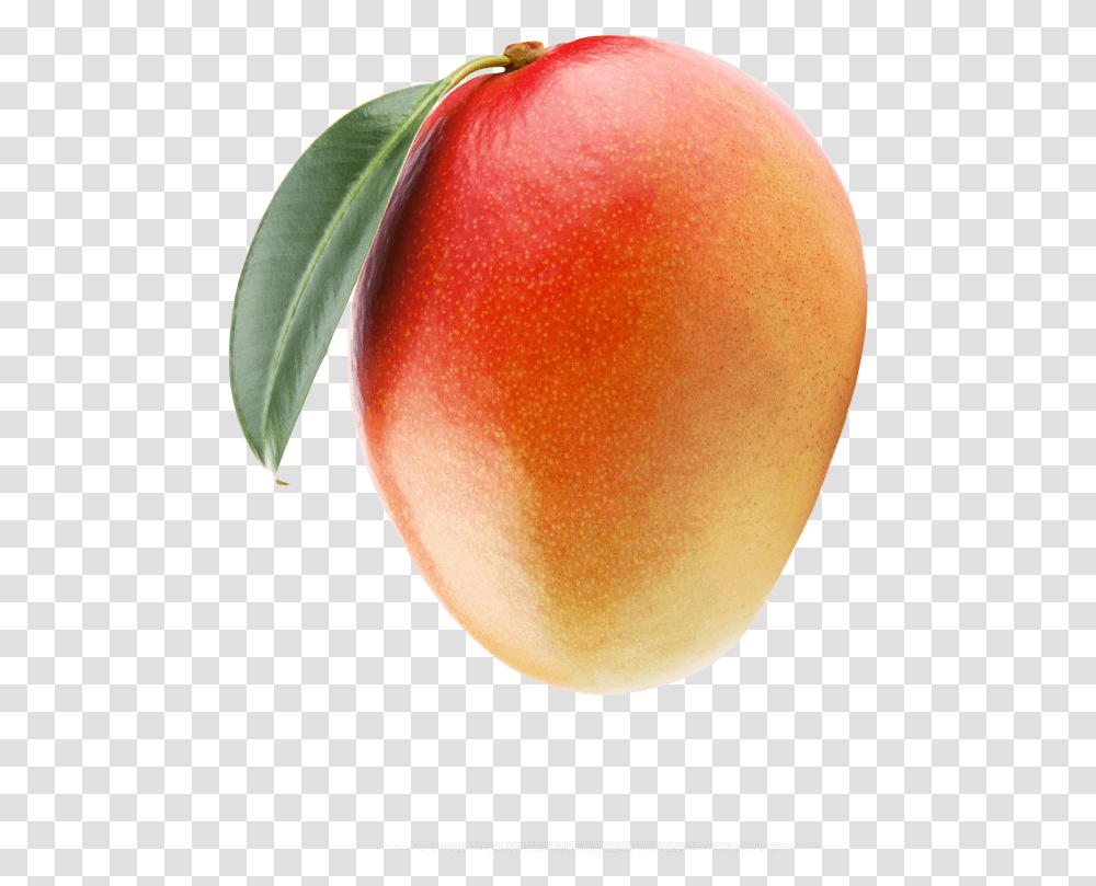 Mango Portable Network Graphics, Plant, Apple, Fruit, Food Transparent Png