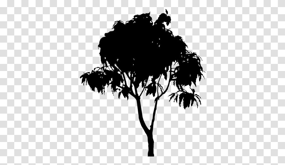 Mango Tree Images Mango Tree, Nature, Outdoors, Silhouette, Plant Transparent Png