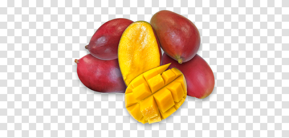 Mangoes Ataulfo, Plant, Fruit, Food, Apple Transparent Png