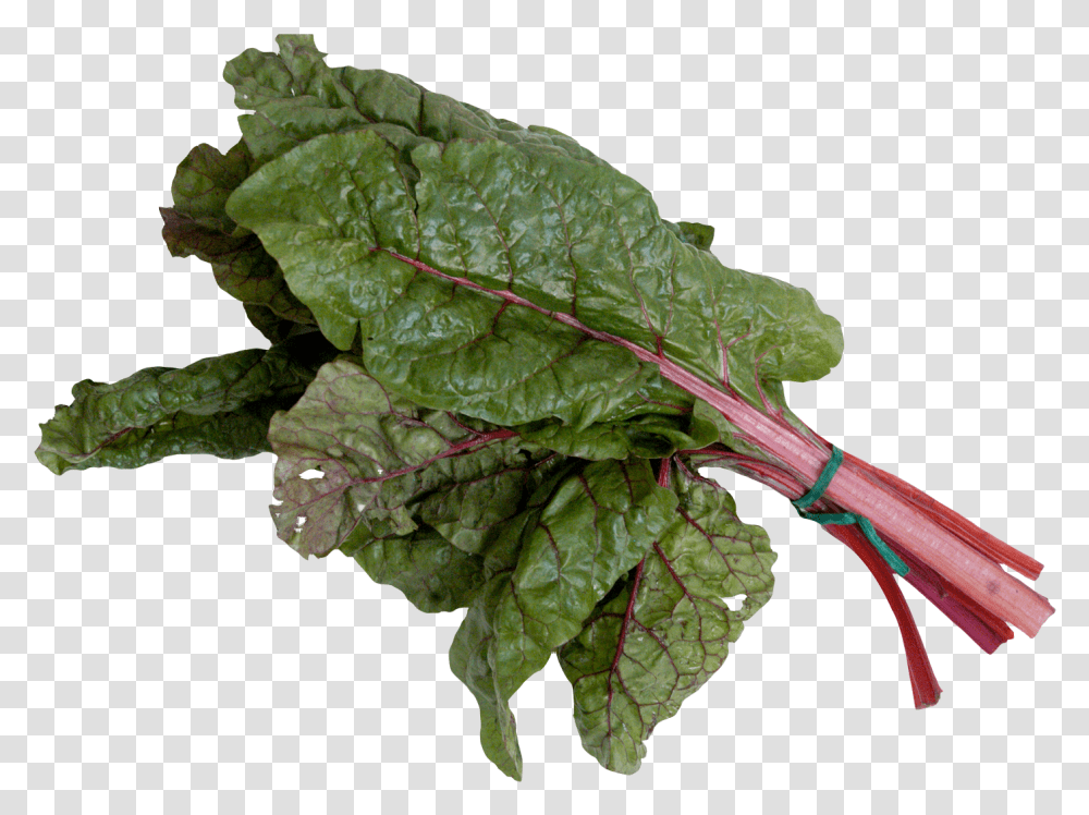 Mangold Or Swiss Chard Image, Plant, Produce, Food, Vegetable Transparent Png