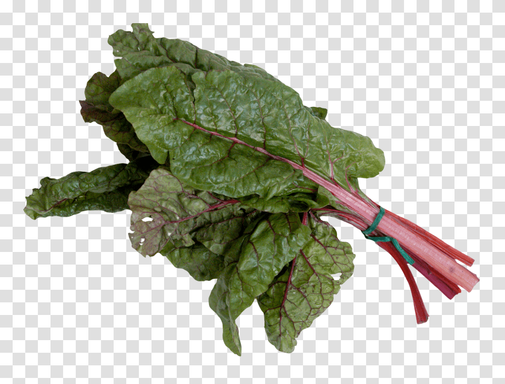 Mangold Or Swiss Chard Image, Vegetable, Plant, Food, Produce Transparent Png