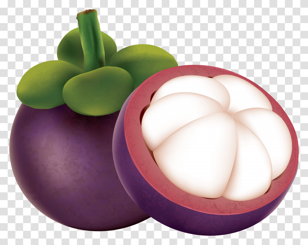 Mangosteen Clipart Image Black And White Mangosteen Transparent Png