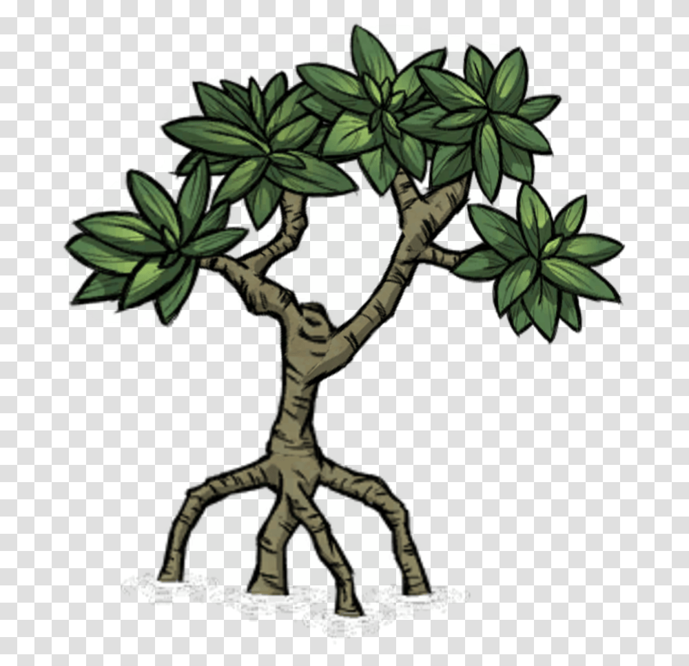 Mangrove 5 Image Mangrove, Plant, Tree, Banana, Art Transparent Png