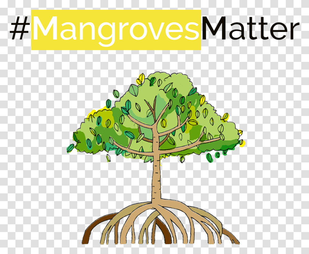Mangrove Planting Campaign, Root, Tree, Lamp, Vegetation Transparent Png