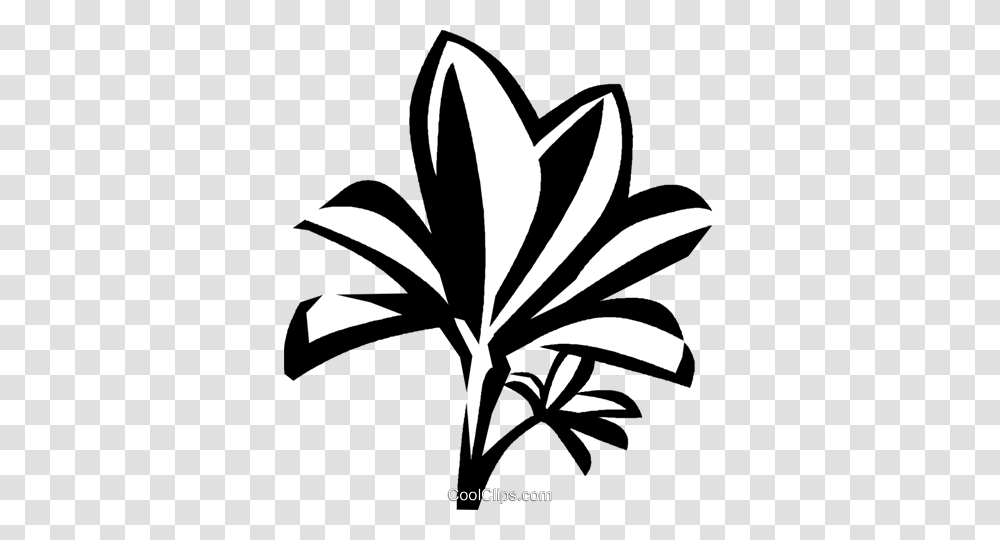 Mangrove Royalty Free Vector Clip Art Illustration, Plant, Stencil, Flower, Blossom Transparent Png