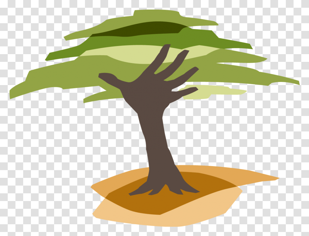 Mangrove Tree Clipart Freeuse Eden Reforestation Projects Logo, Plant, Palm Tree, Arecaceae, Bird Transparent Png