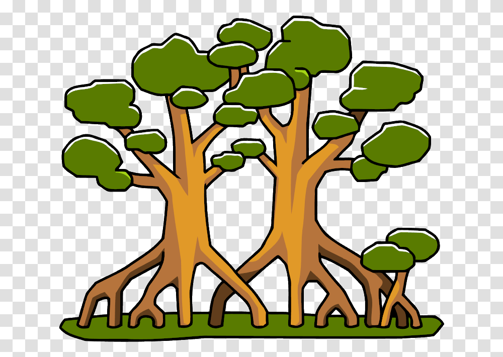 Mangrove Trees Clipart Image Mangrove Tree Clipart, Plant, Tree Trunk, Food, Seed Transparent Png