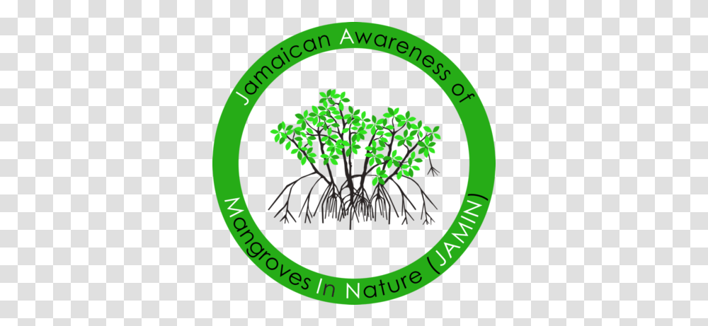 Mangroves In Nature J Circle, Plant, Tree, Vegetation, Land Transparent Png