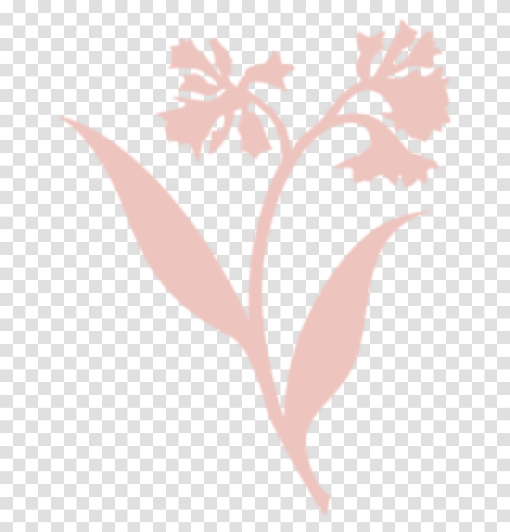 Manicures & Pedicures - Coco Mazzi Salon Spa Aveda Flower, Plant, Blossom, Stencil, Anther Transparent Png