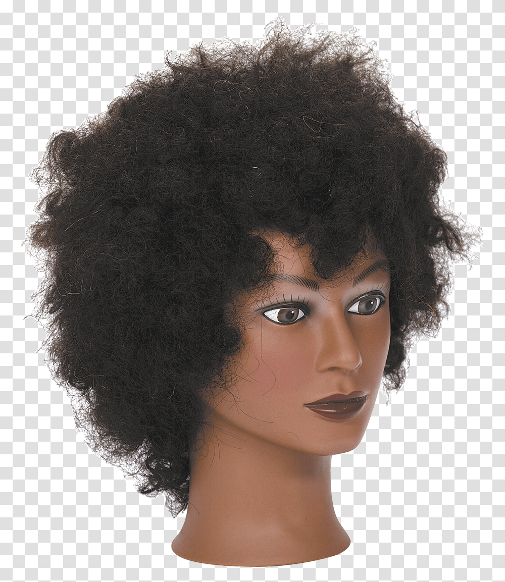 Manikin Afro Wig On Manican, Hair, Person, Human Transparent Png
