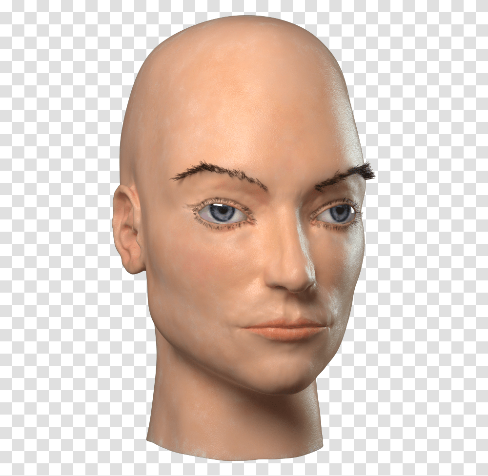 Mannequin, Head, Face, Person, Human Transparent Png