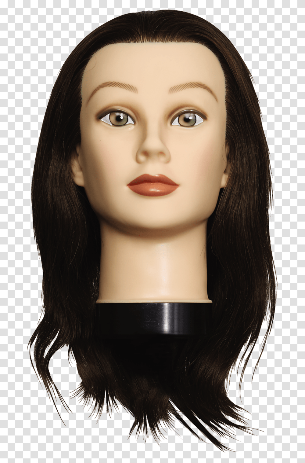 Mannequin Head Woman Mannequin Head, Doll, Toy, Hair, Person Transparent Png