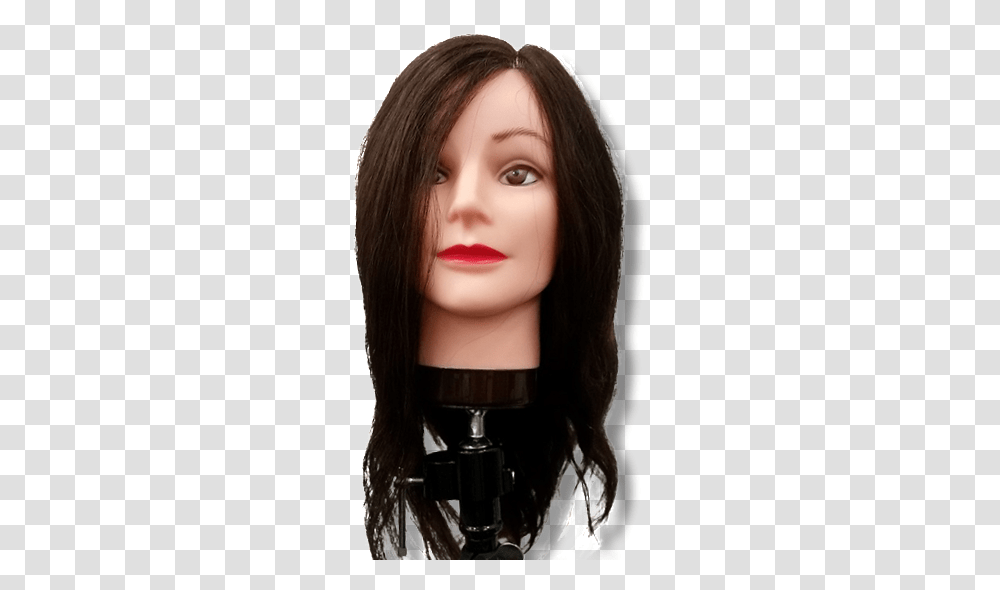 Mannequin, Person, Human, Head, Hair Transparent Png