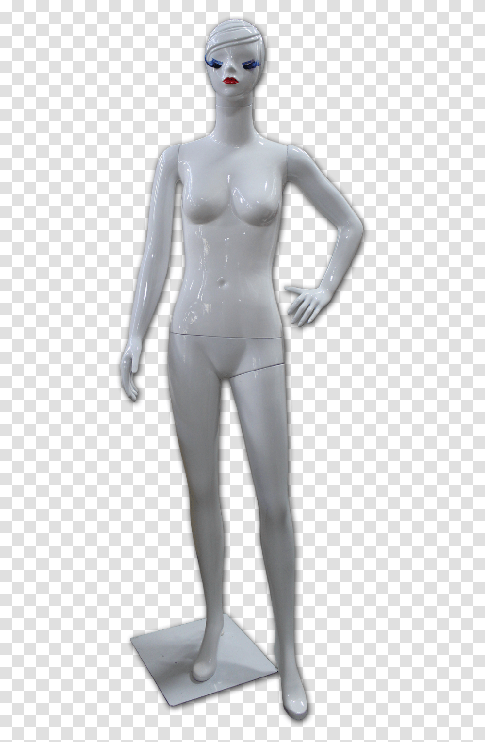 Mannequin, Person, Human, Head, Torso Transparent Png