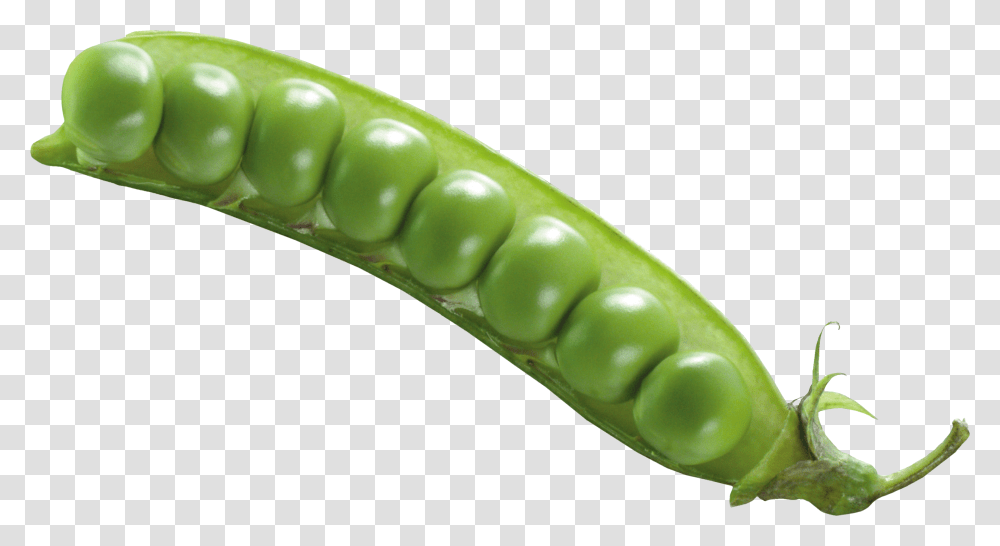 Manns Snow Peas Bag 6 Oz Green Bean No Background, Plant, Vegetable, Food Transparent Png