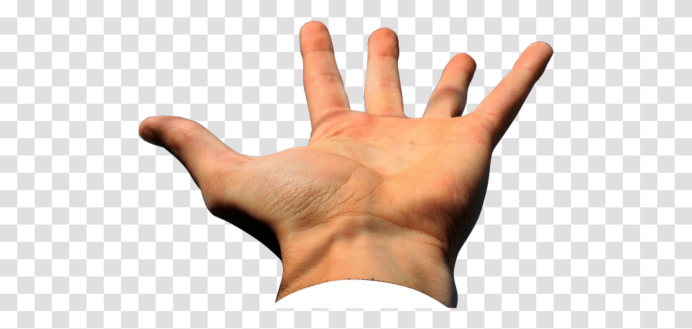 Mano, Person, Human, Hand, Wrist Transparent Png