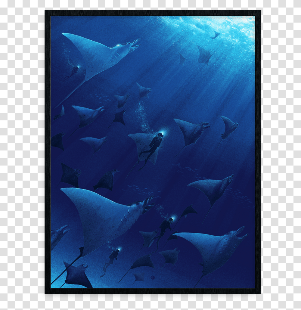 Manta Ray, Sea Life, Fish, Animal, Bird Transparent Png