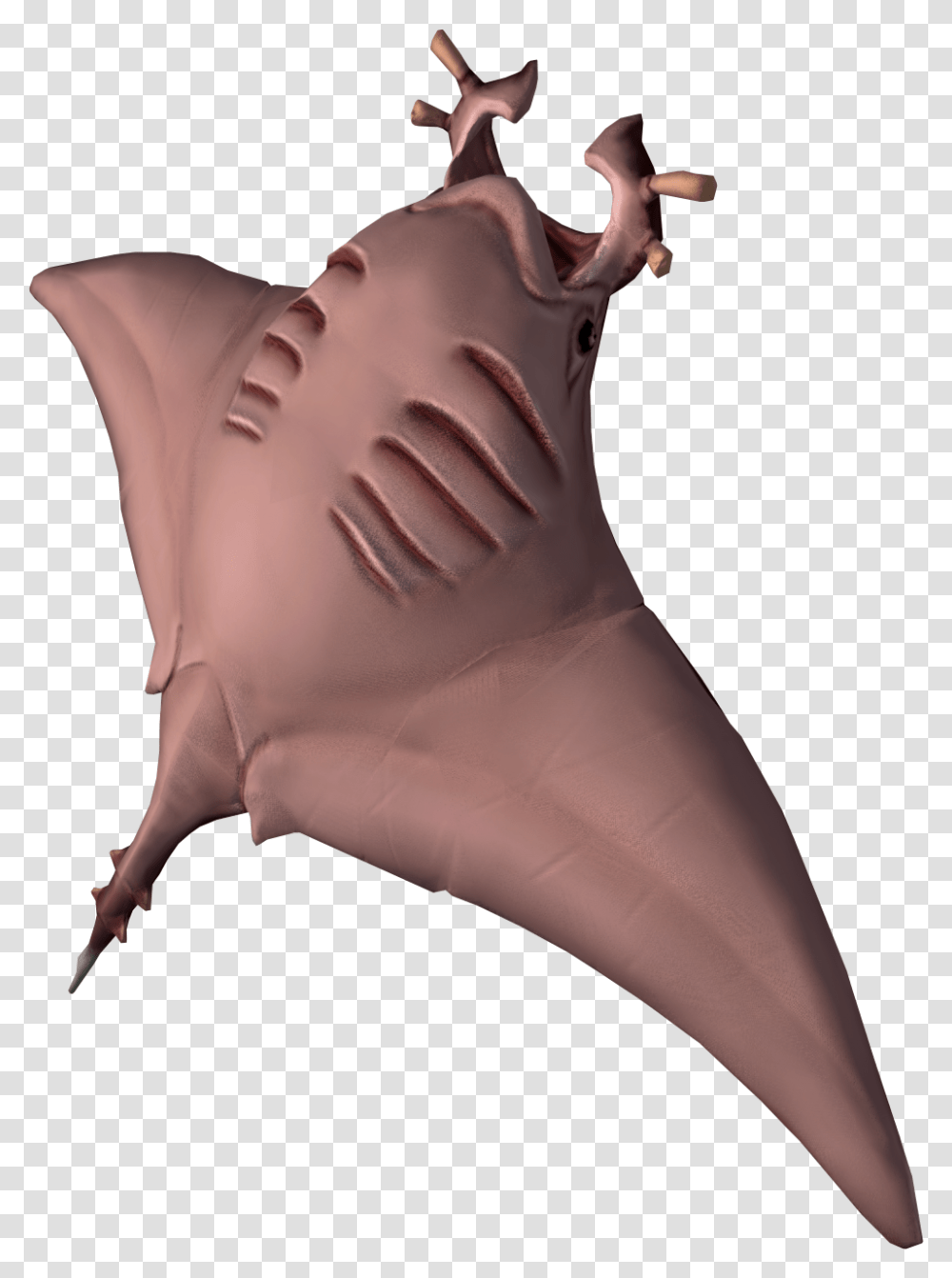 Manta Rays Are A Members Only Fish That Require A Cooking Cooked Manta Ray, Person, Human, Animal, Sea Life Transparent Png