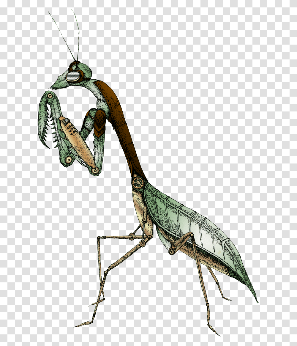 Mantis Augmented Feral Beagle, Staircase, Grasshopper, Insect, Invertebrate Transparent Png