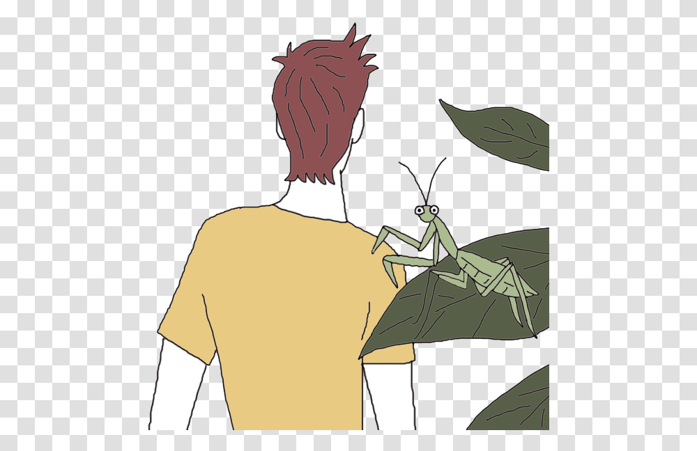 Mantis Cartoon, Insect, Invertebrate, Animal, Grasshopper Transparent Png