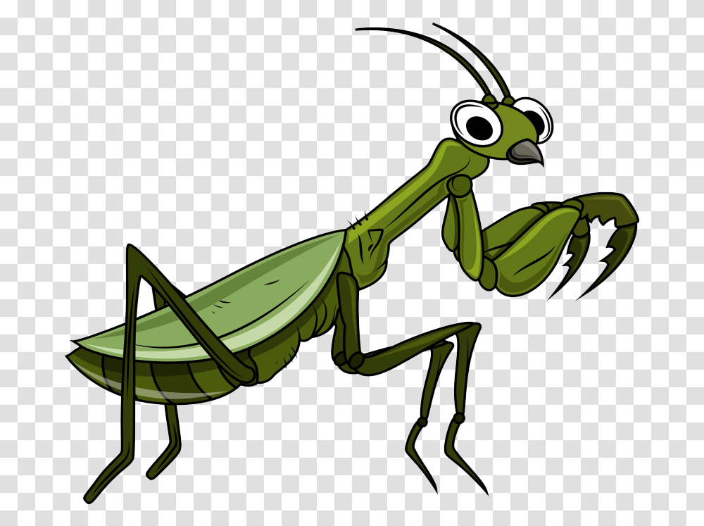 Mantis Clipart, Insect, Invertebrate, Animal, Grasshopper Transparent Png