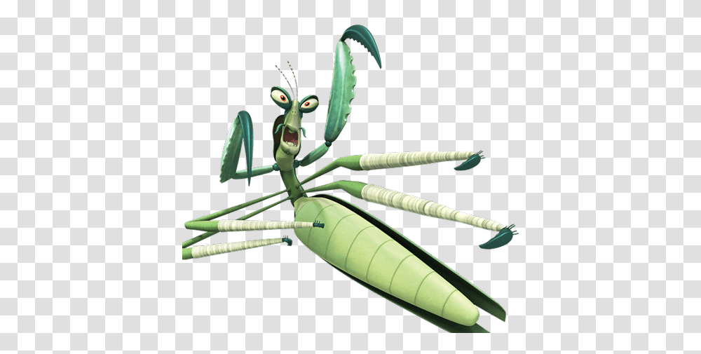 Mantis, Insect, Animal, Invertebrate Transparent Png