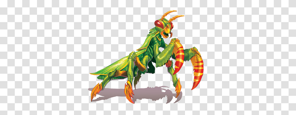 Mantis, Insect, Drawing Transparent Png