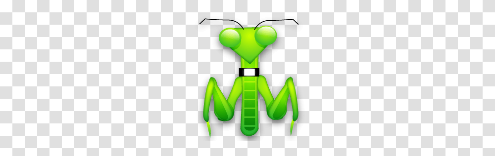 Mantis, Insect, Green, Toy, Invertebrate Transparent Png