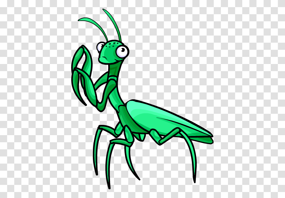 Mantis, Insect, Invertebrate, Animal, Bird Transparent Png