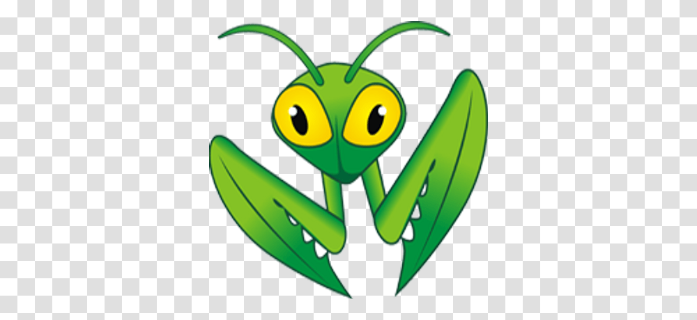 Mantis, Insect, Invertebrate, Animal, Grasshopper Transparent Png