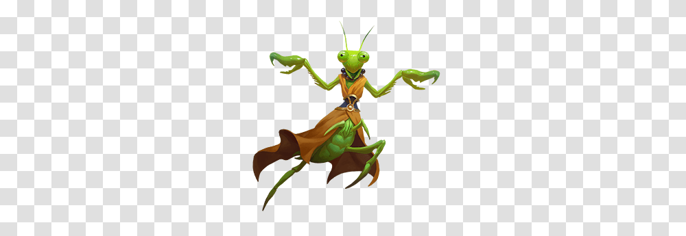 Mantis, Insect, Legend Of Zelda, Toy, Overwatch Transparent Png