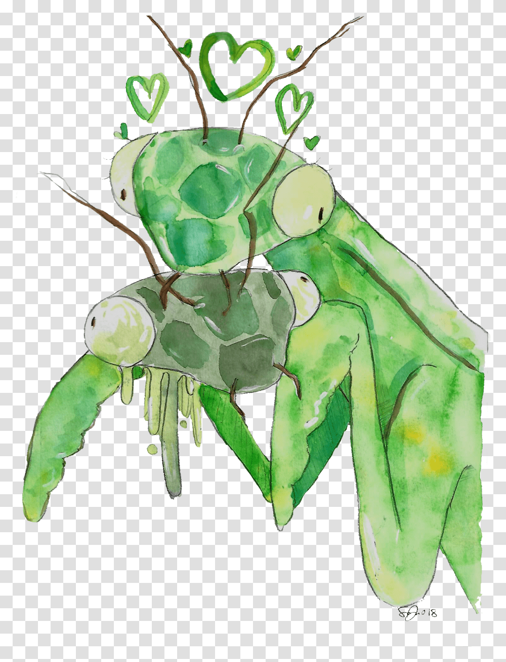 Mantis Love Paint The Town Citrus Insect, Grasshopper, Invertebrate, Animal, Grasshoper Transparent Png