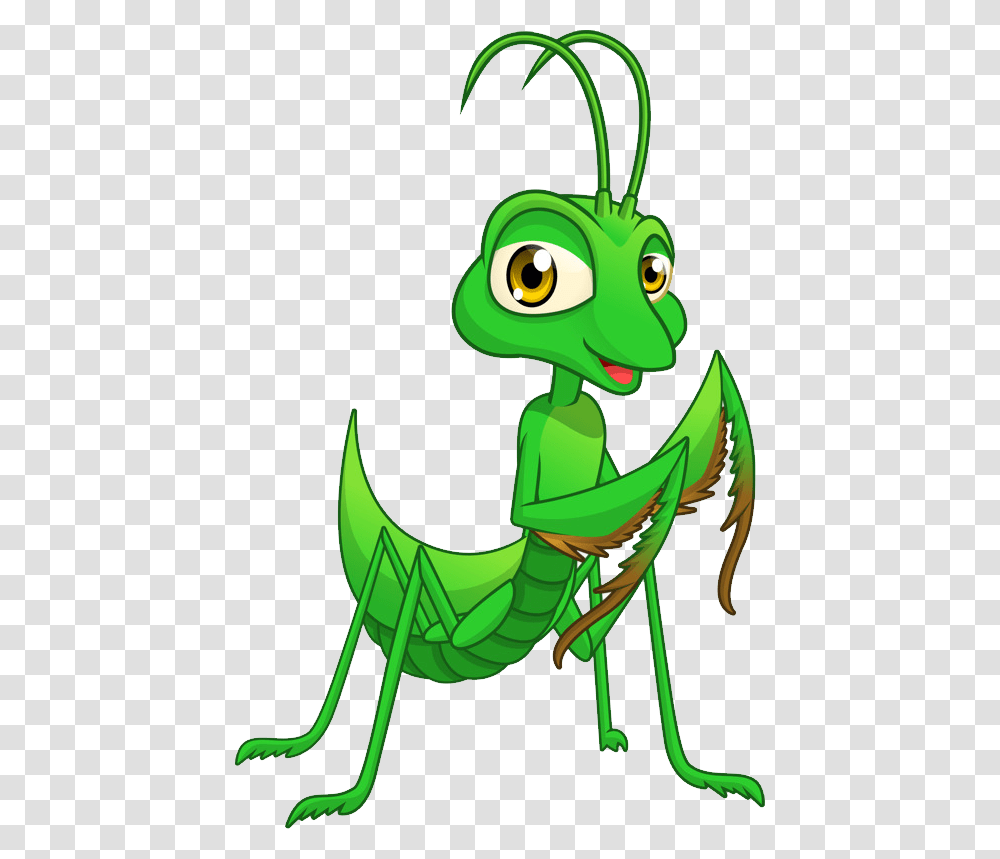 Mantis Small Praying Mantis Cartoon, Animal, Grasshopper, Insect, Invertebrate Transparent Png