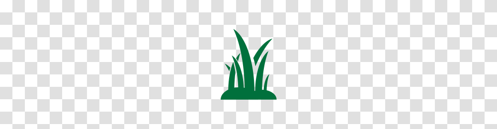 Manuscript Herbicide Greencast Syngenta, Logo, Trademark, Plant Transparent Png