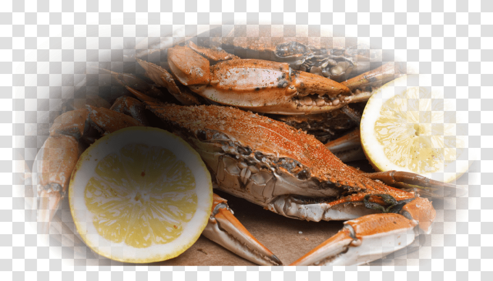 Many Calories In Crabs, Seafood, Sea Life, Animal, King Crab Transparent Png