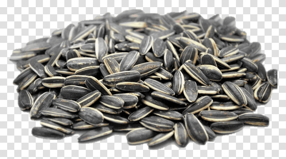 Many Calories In Sunflower Seeds, Plant, Grain, Produce, Vegetable Transparent Png