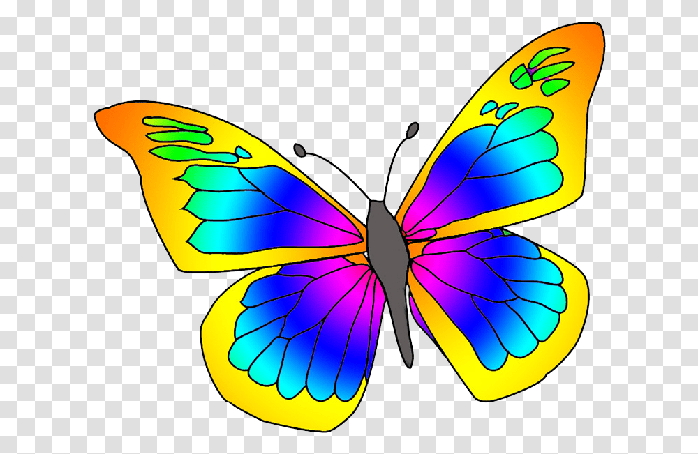 Many Colored Butterfly Clipart Picture Of Butterfly, Ornament, Pattern, Fractal Transparent Png