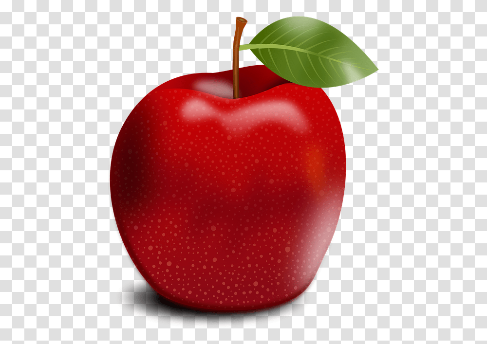 Manzana 13 Image Apple Image Download, Plant, Fruit, Food Transparent Png