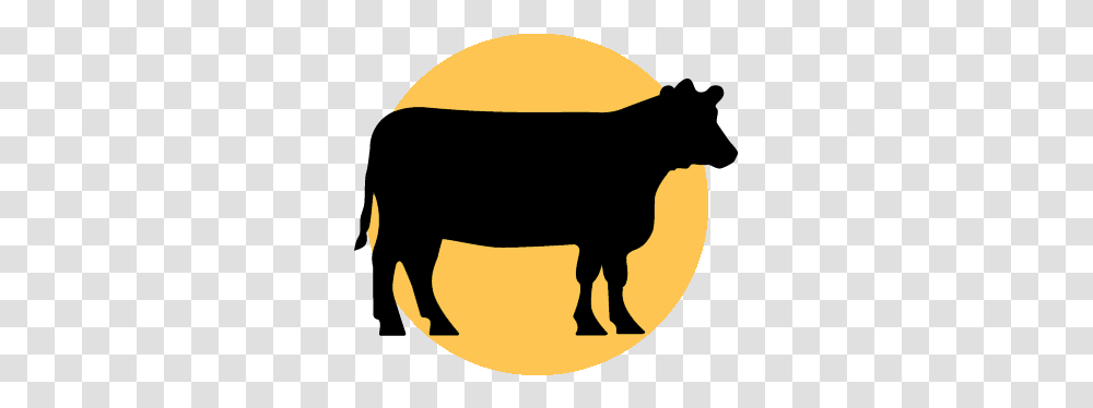 Map Animal Raw Materials Icon, Bull, Mammal, Cattle, Buffalo Transparent Png