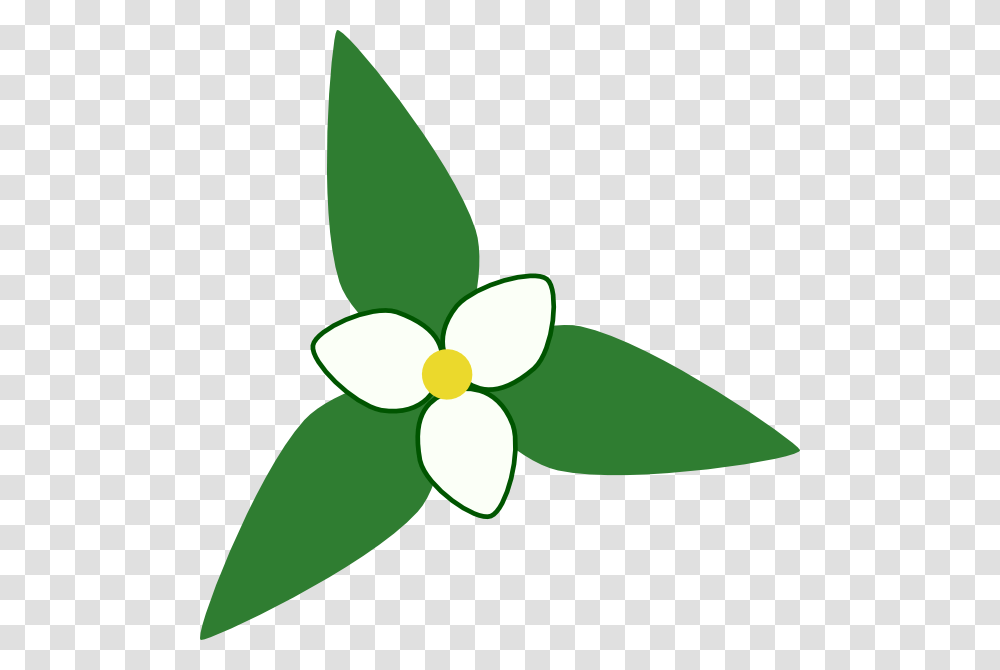 Map Clip Art, Plant, Leaf, Green, Flower Transparent Png